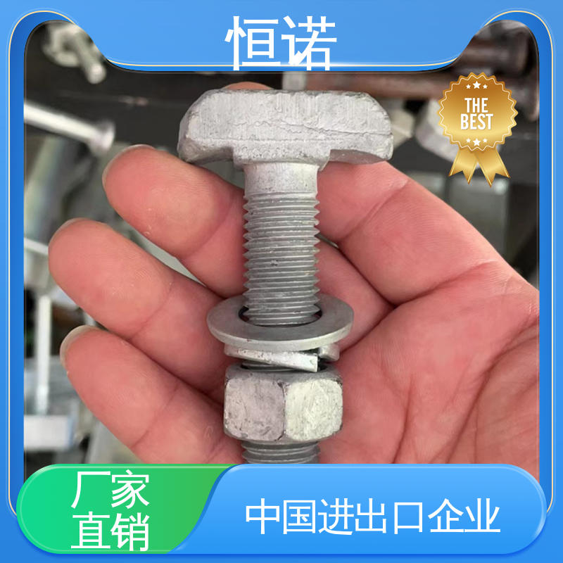 可寄样品 生产厂家 防腐性好 哈芬槽道不锈钢T型螺栓 恒诺