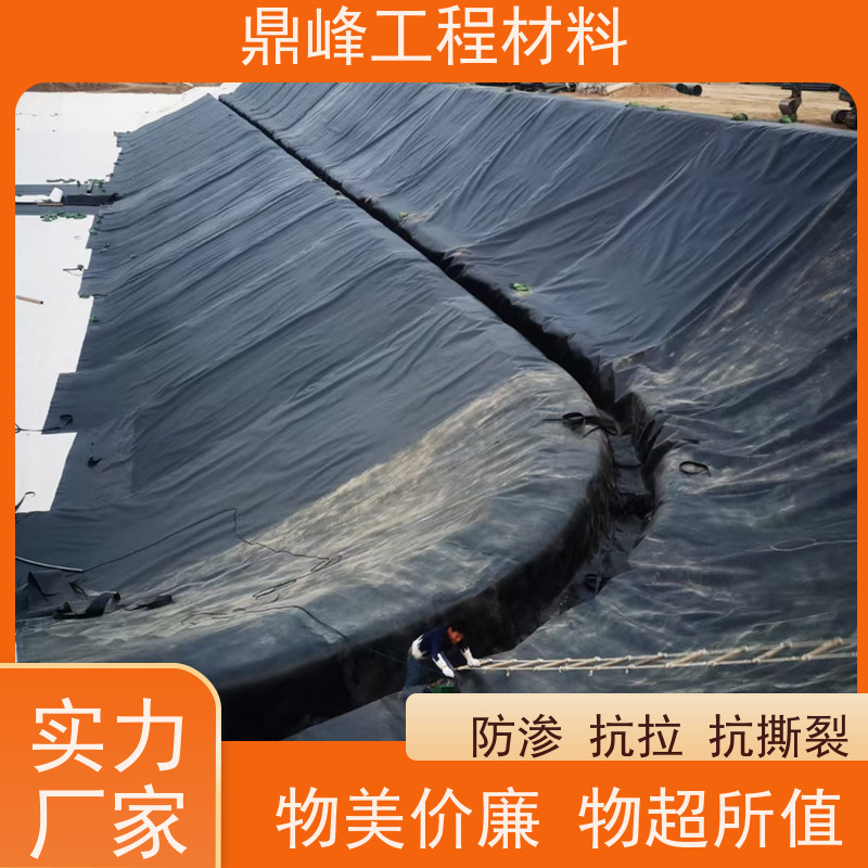 鼎峰 土工膜1.5厚 耐候性好 防止水土流失保护生态