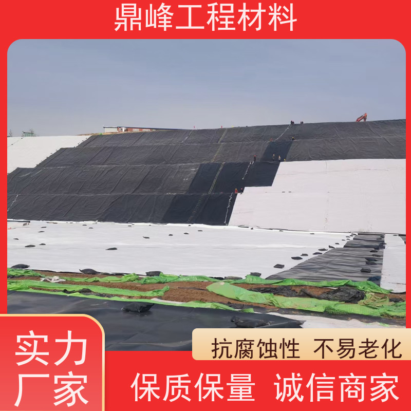鼎峰 2mm土工膜 化学稳定性能 厚度可调 满足不同需求