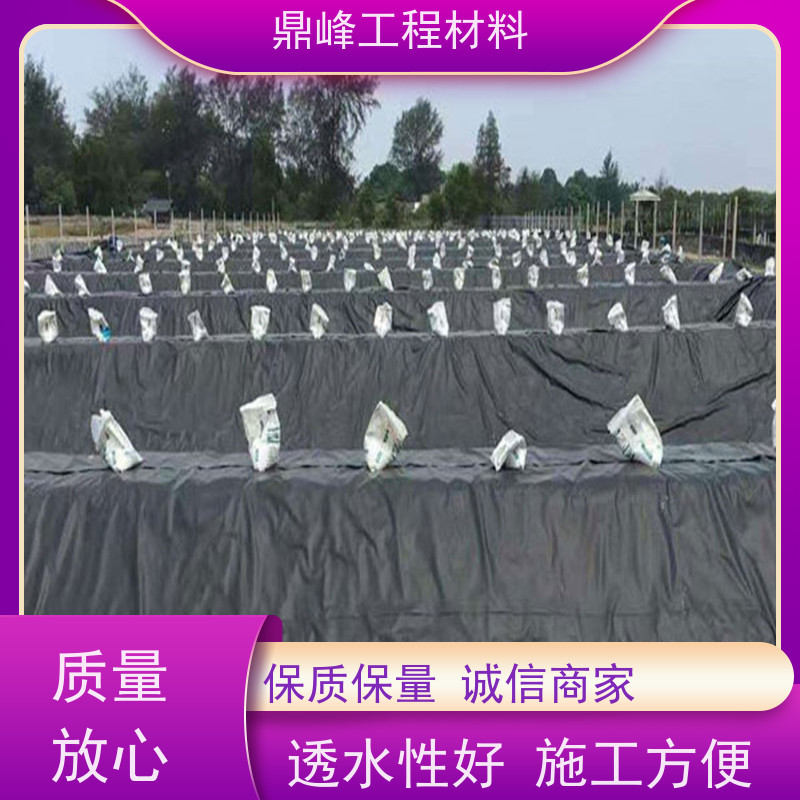 鼎峰 1.5厚hdpe土工膜 断裂伸长率强 孔隙率适中利于植物生长