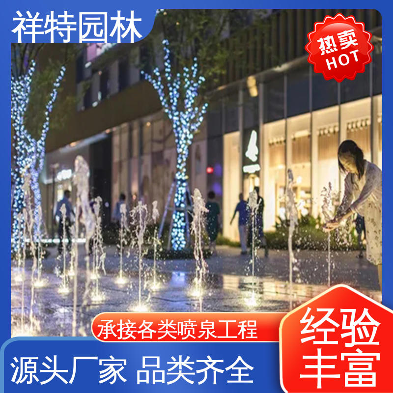 祥特园林 水景工程施工 远程指导 运行平稳 水池音乐喷泉
