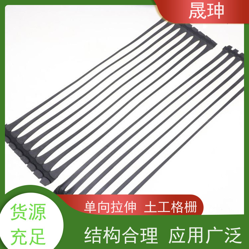晟珅 全国供应 抗拉力强单向塑料格栅 结构性强 诚信经营