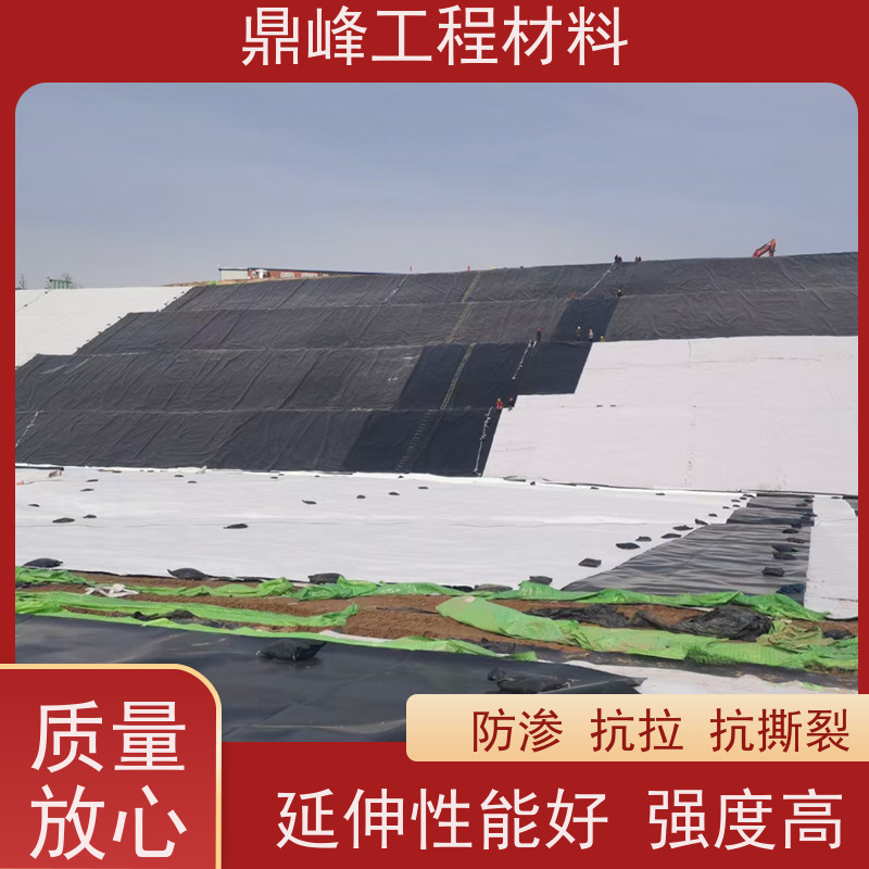 鼎峰 土工膜1.5厚 易于铺设 防止水土流失保护生态