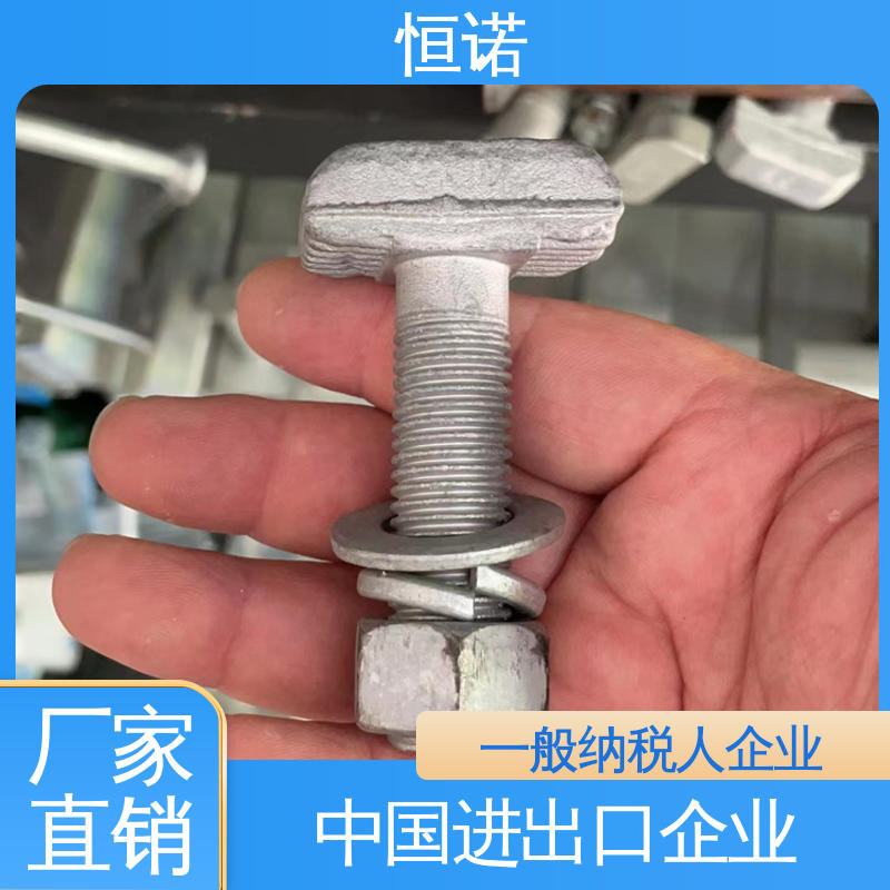恒诺 热镀锌预埋槽道T型螺栓 支持异形件定制 厂家供应 品质保证
