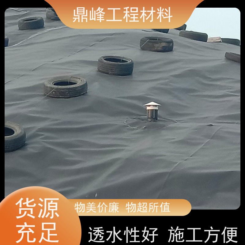 鼎峰防渗隔离hdpe土工膜 垃圾填埋场用进口土 工膜厂家