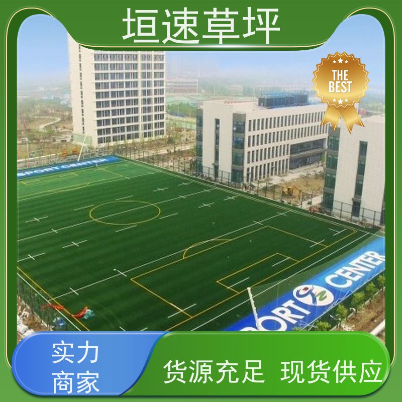 垣速草坪 五人制足球场 改造 49一平米 耐水性漆膜不起泡