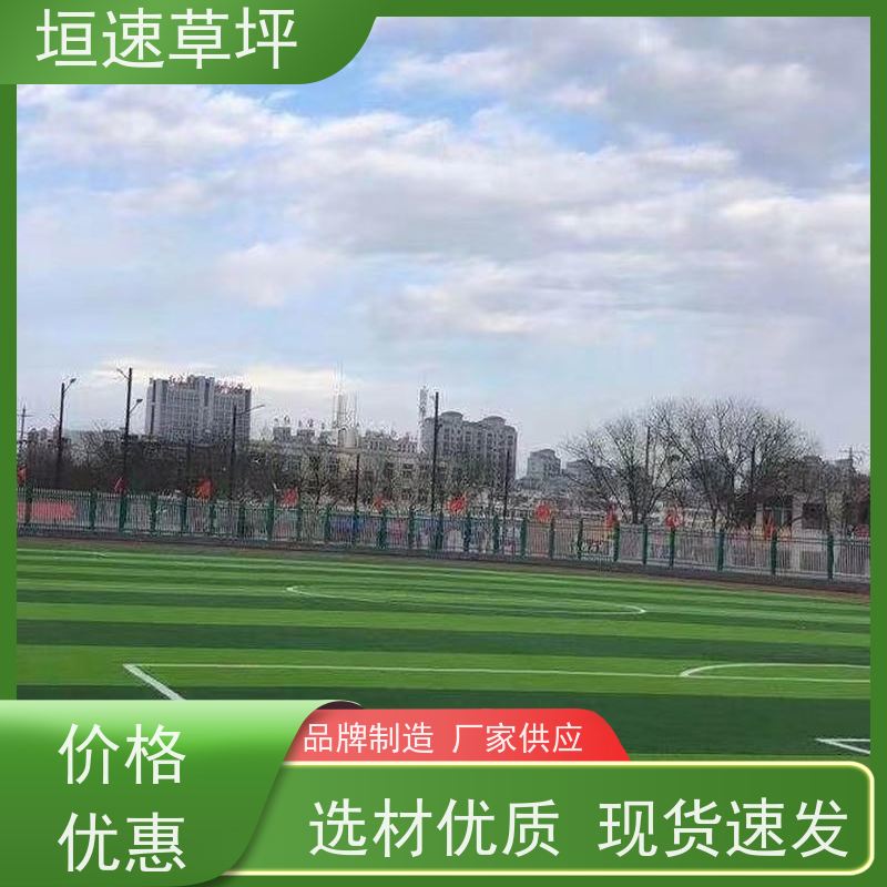 垣速草坪 5人足球场 翻新 渗水性好 水泥粘接力高