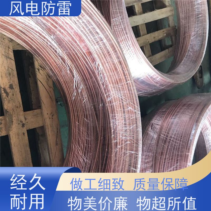 风电防雷 规格齐全 可定制 石 墨材料阻值低 铜包钢接地圆线10mm