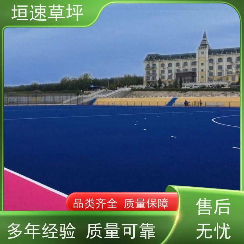 垣速草坪 八人制足球场 翻新 屋顶人造草皮 多色可选