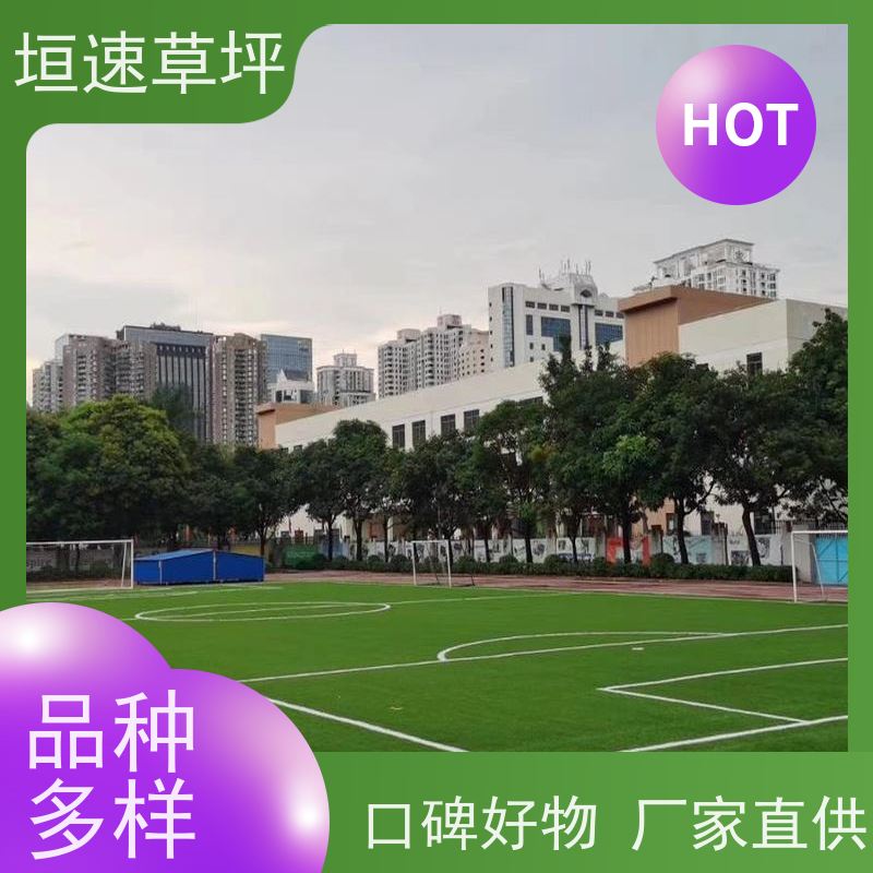 垣速 33一平方 幼儿园操场专用草坪 橄榄球场翻新
