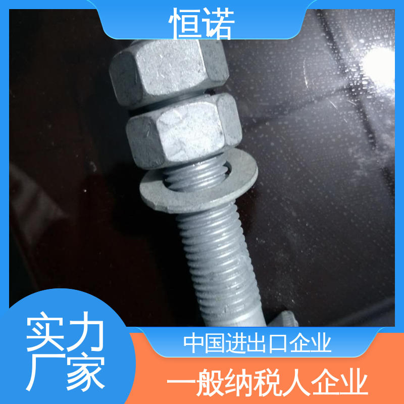 坚固耐用 订做异型件 质量保障 管廊托臂T型螺栓 恒诺