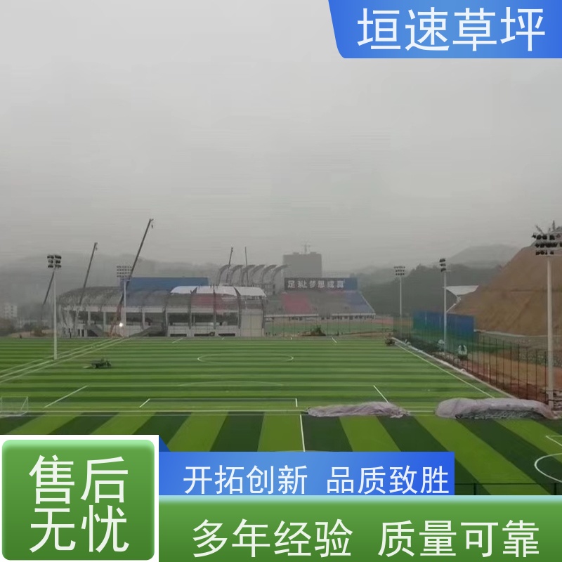 垣速 施工标准 幼儿园跑道专用草坪 笼式足球场改造
