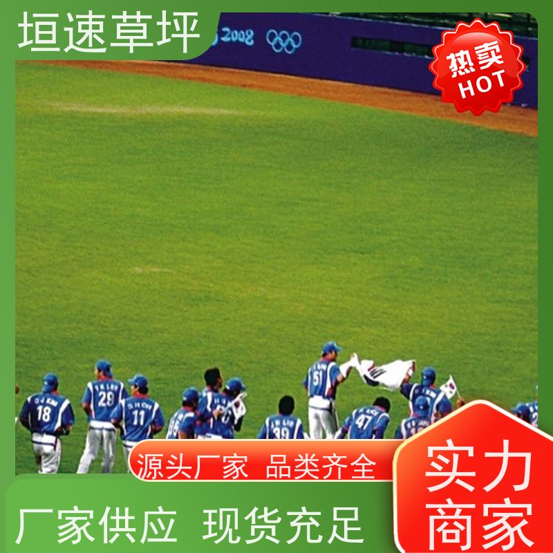 垣速草坪 幼儿园操场 人造草 翻新设计 涂膜平整无明显流挂