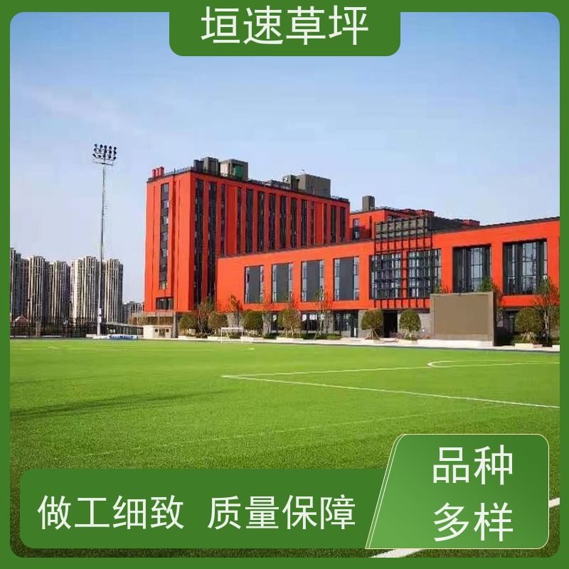 垣速 5人足球场修建 坚固耐用 学校跑道人工草皮
