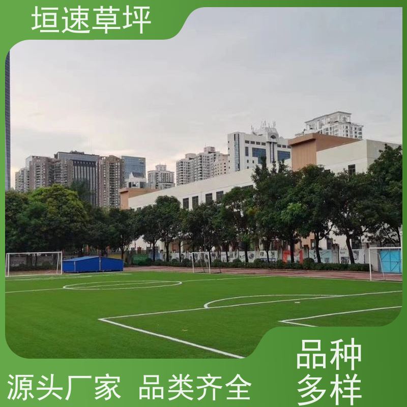 垣速草坪 笼式足球场修建 流平性好 幼儿园操场人造草