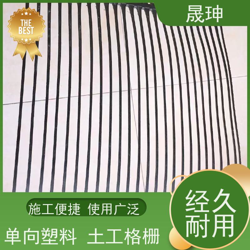 晟珅 长期供应 单向塑料土工格栅 使用时间长 品质可信