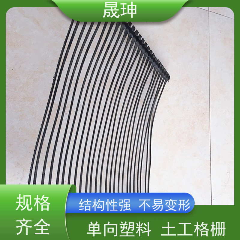 晟珅 实力厂家 单向塑料土工格栅 施工便捷 诚信经营