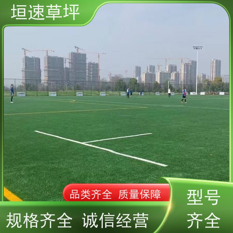 垣速草坪 多色可选 笼式足球场人工草皮 体育场建设