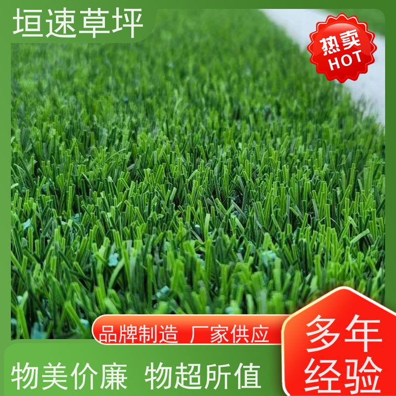 垣速草坪 体育场建设 环保材料 7人制足球场人工草皮