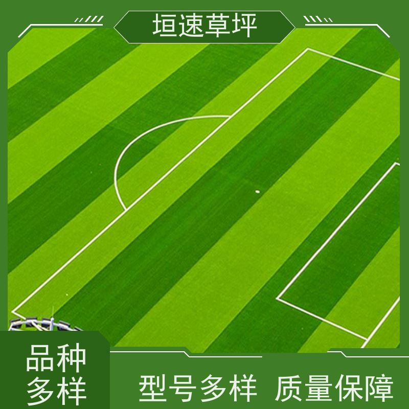 垣速草坪 橄榄球场建设 多色可选 幼儿园跑道人造草
