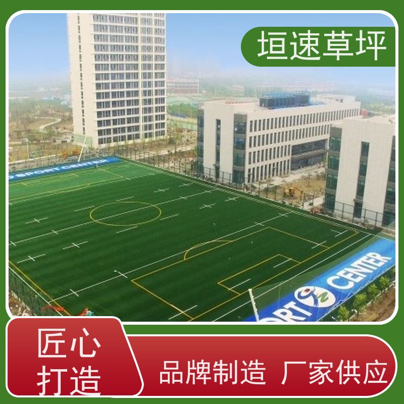 垣速草坪 防腐耐磨 7人制足球场人造草 运动场建设