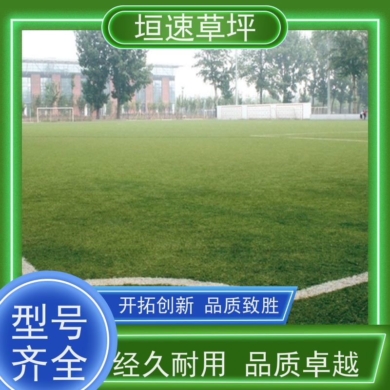 垣速草坪 门球场 搭建 场地规划 涂膜平整无明显流挂