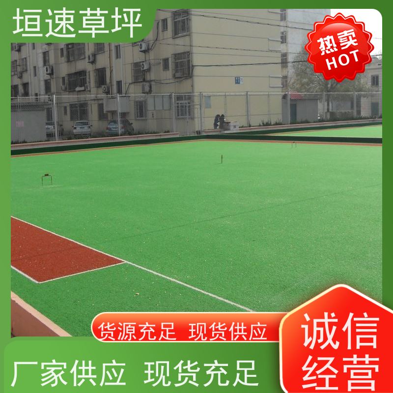 垣速草坪 5人足球场改造 多色可选 幼儿园跑道人工草皮