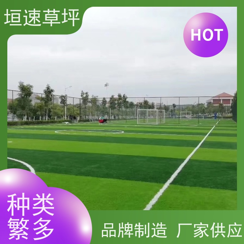 垣速草坪 环保认证 幼儿园跑道人工假草皮 门球场改造