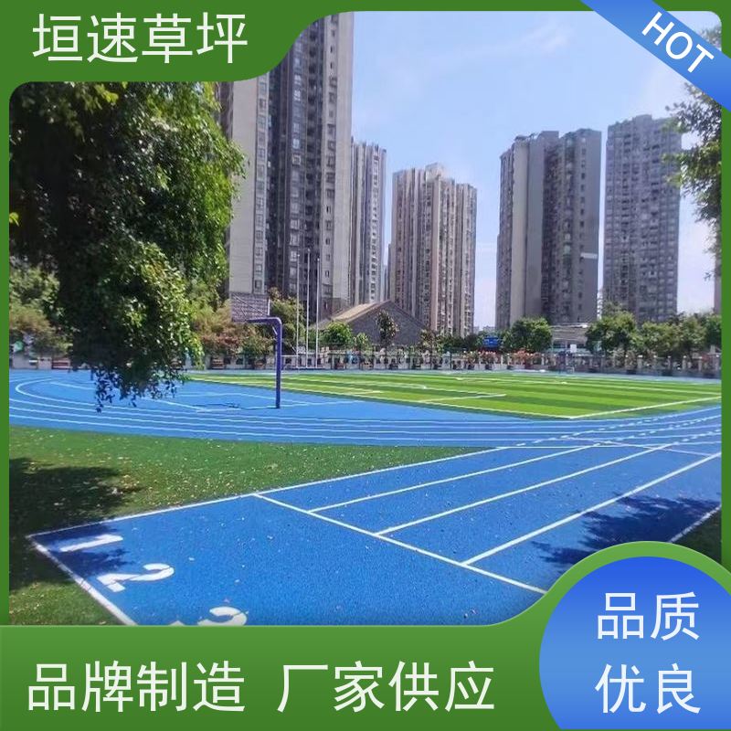 惟上体育 门球场 塑胶草坪 定制施工 打球弹性系数高