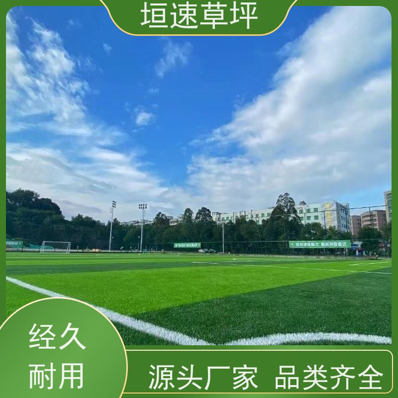 垣速草坪 棒球场 翻新 运动场人工草皮 供应材料