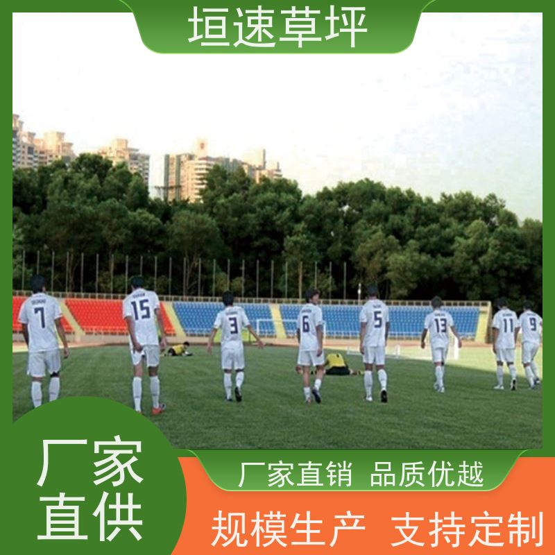 垣速草坪 棒球场 翻新 运动场人工草皮 耐磨力强