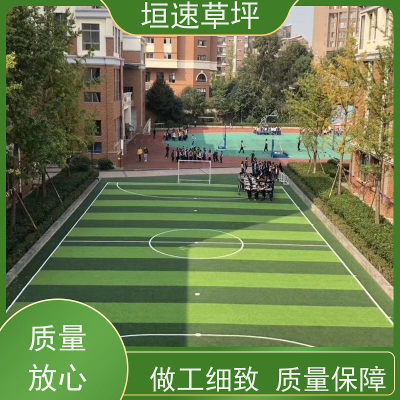垣速草坪 八人制足球场 改造 仿真草皮 耐磨力强