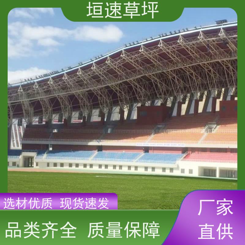 垣速草坪 5人足球场改建 资质齐全 体育场人工假草皮
