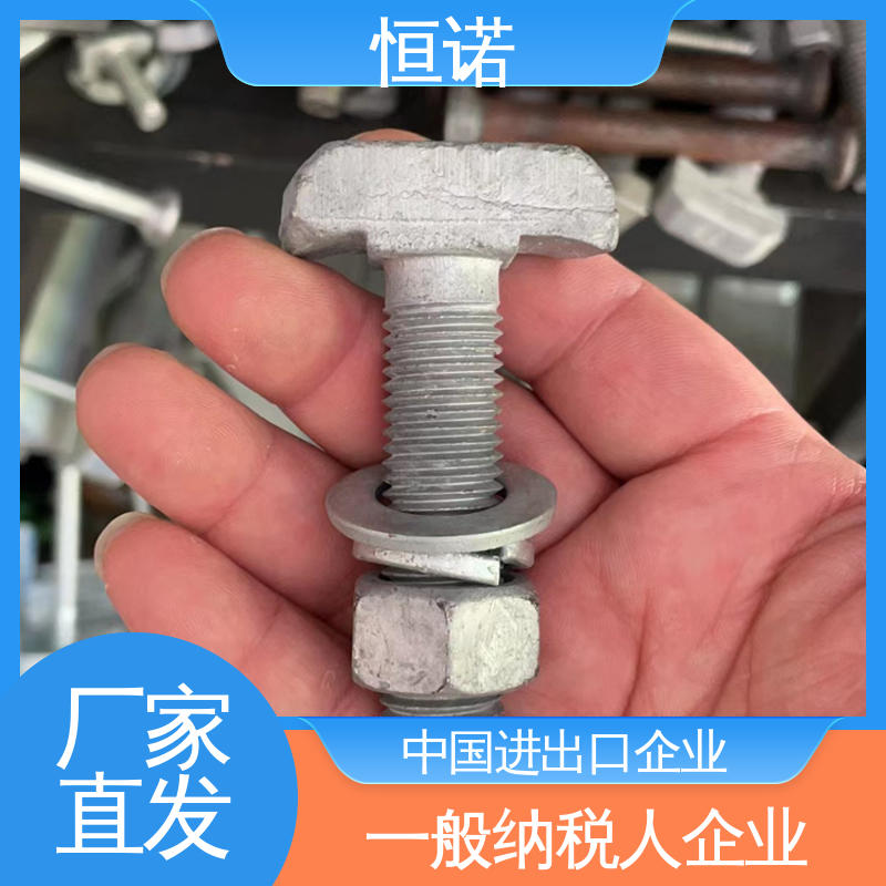 恒诺 高强度T型螺栓 来图定做 发货及时 大量现货