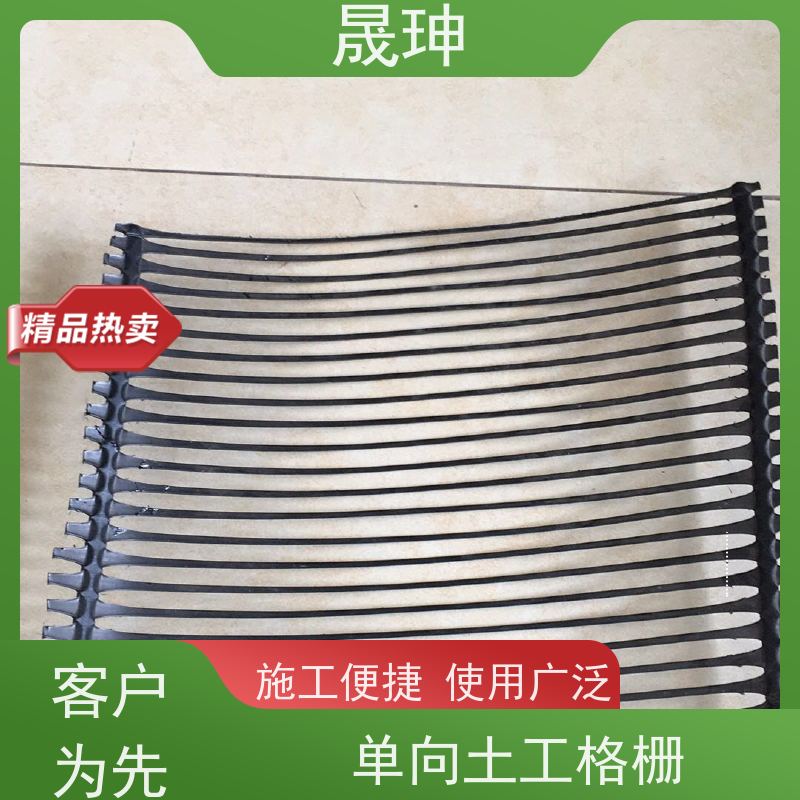 晟珅 全国供应 单向塑料拉伸土工格栅 使用时间长 库存充足