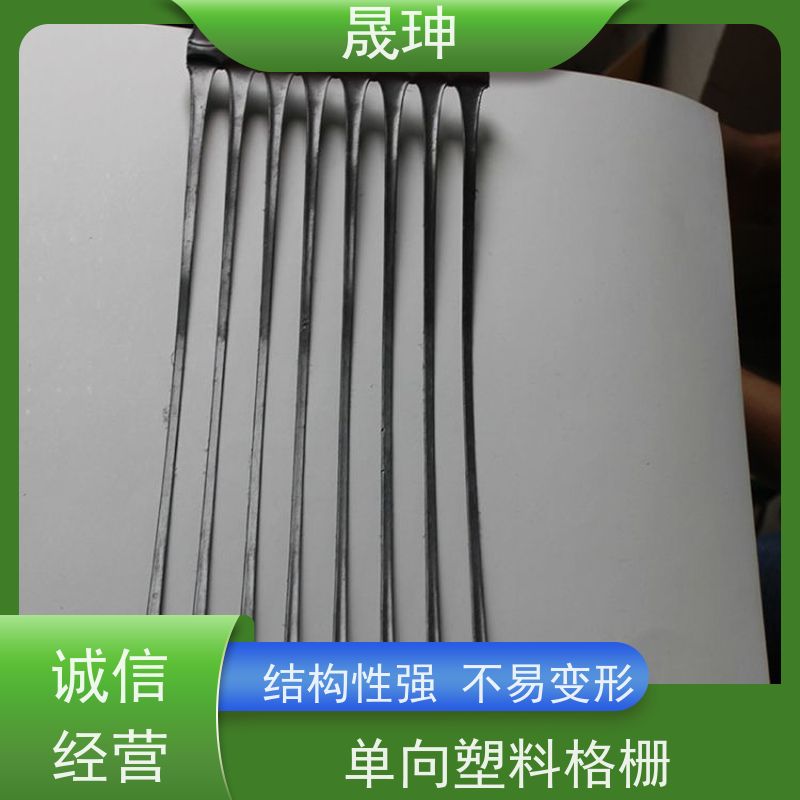 晟珅 实力厂家 单向土工格栅 应用广泛 货源充足