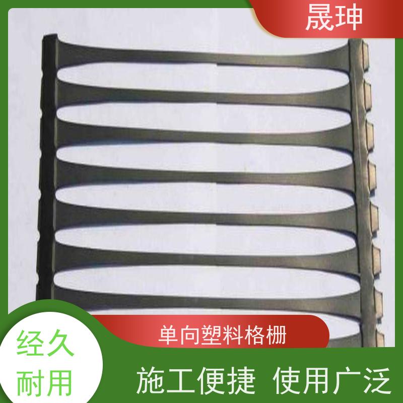 晟珅 长期供应 单向塑料土工格栅 不易变形 货源充足