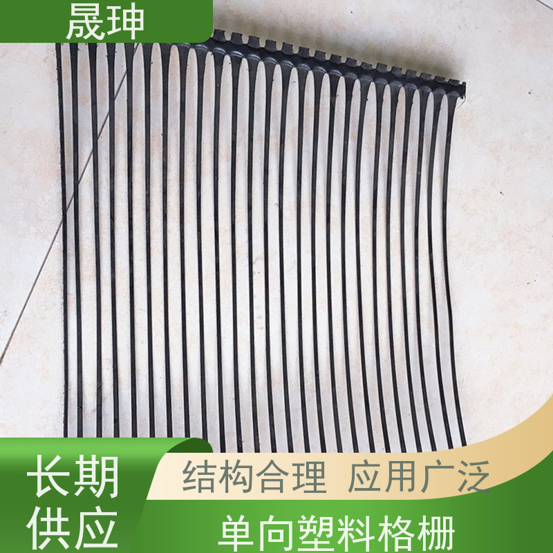 晟珅 全国供应 单向塑料拉伸土工格栅 使用时间长 货源充足