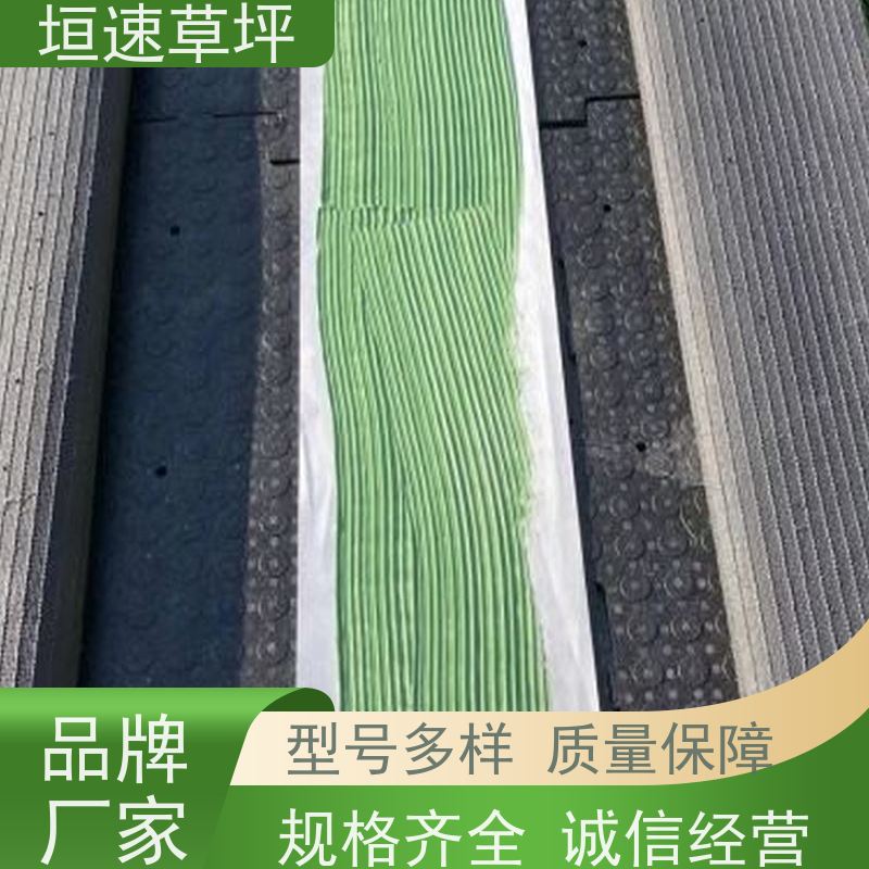 垣速草坪 老年门球场建设 颜色分类 幼儿园跑道人工假草皮