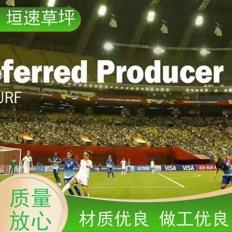 垣速草坪 老年门球场 建设 屋顶人造草皮 供应出售