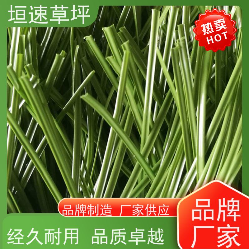 垣速草坪 一站式服务 老年门球场人工草皮 幼儿园跑道修建