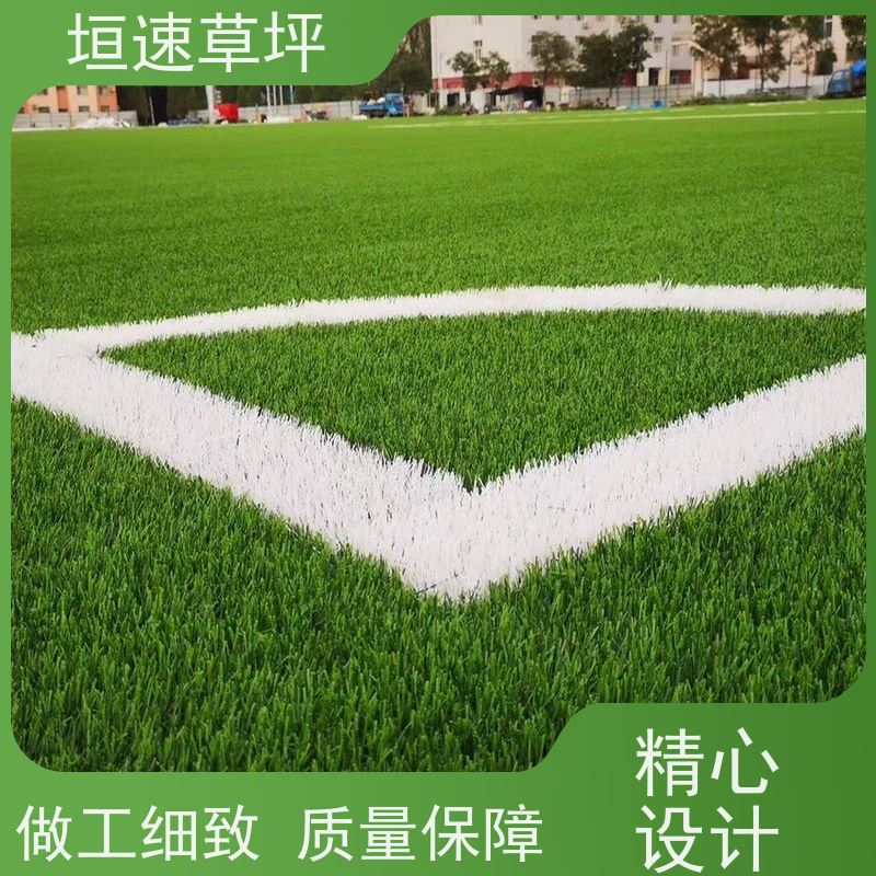 垣速草坪 棒球场 改建 运动场人工草皮 坚固耐用