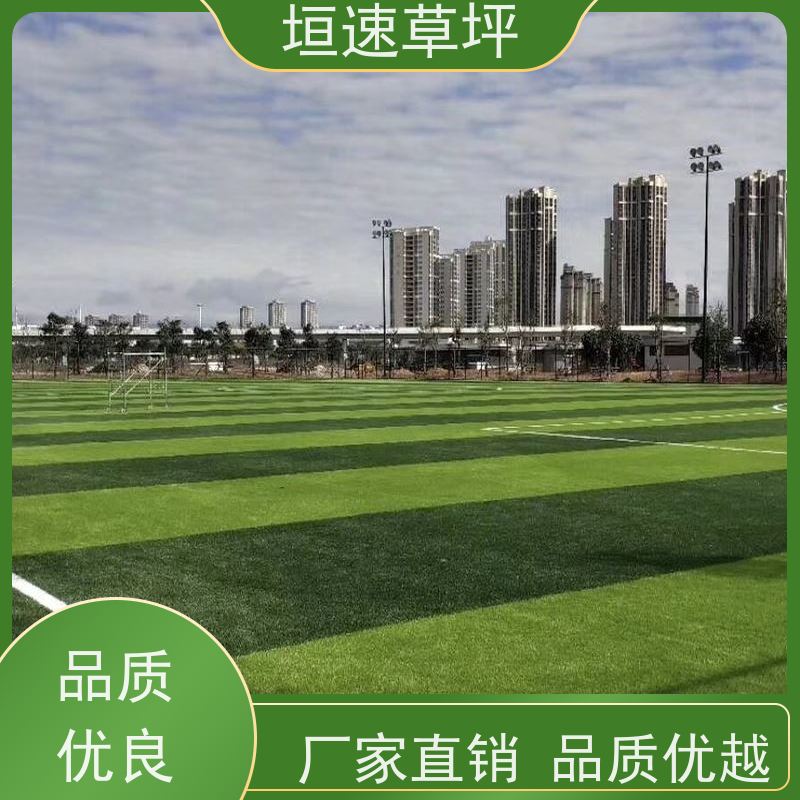 垣速草坪 足球场 翻新 运动场人工草皮 包工包料