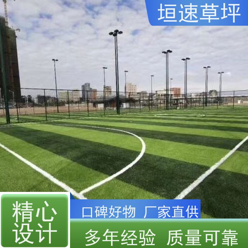 垣速草坪 足球场 人工假草皮 施工建设 打球弹性系数高