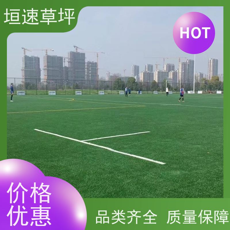垣速草坪 幼儿园操场建设 一站式服务 5人足球场人造草