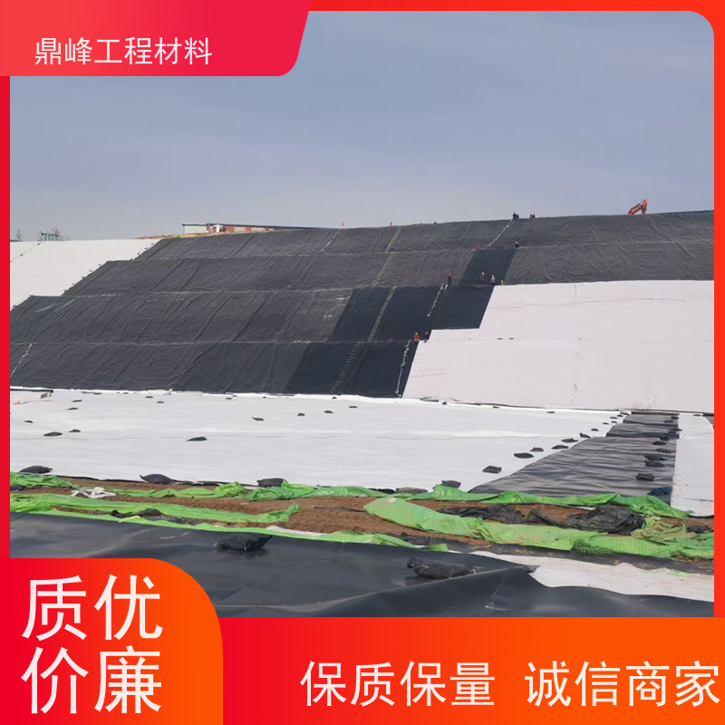 鼎峰 土工膜国标gbt2011 抗老化 结构均匀性能稳定