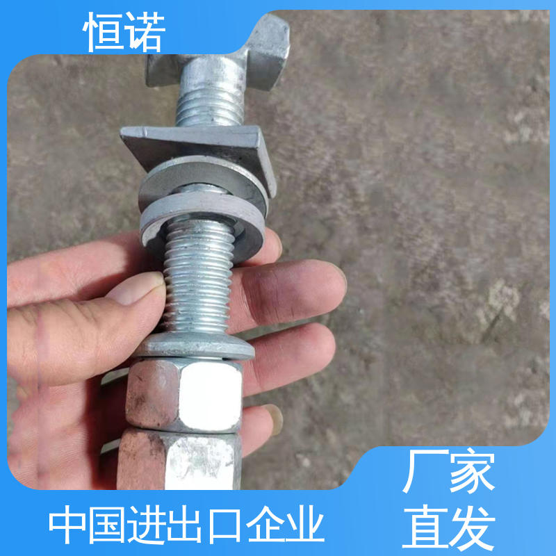 大量现货 实体厂家 图纸定做 高强度T型螺栓 恒诺