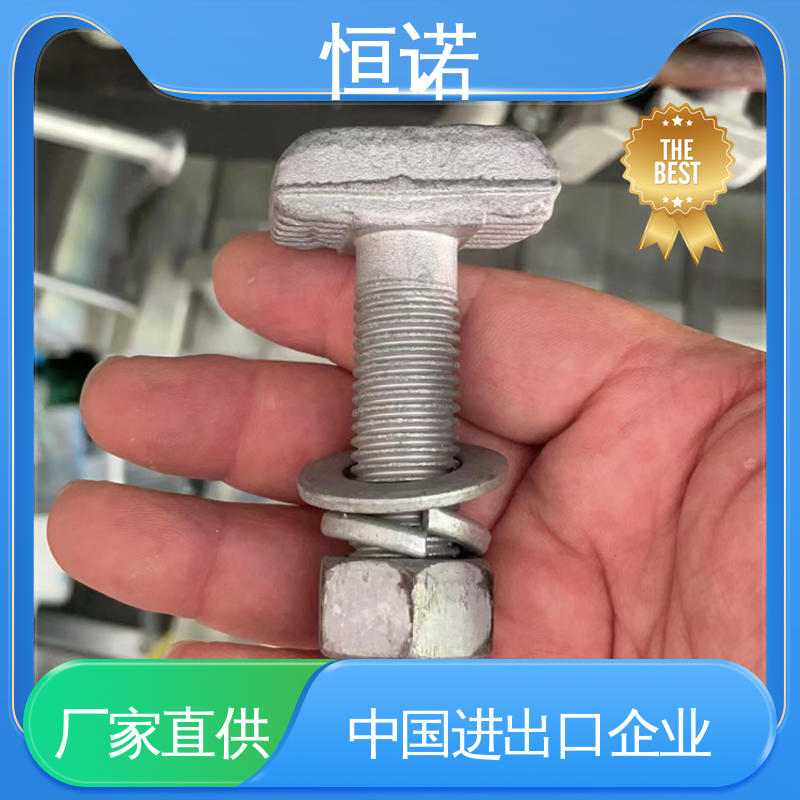 恒诺 按需定制 规格齐全 哈芬槽道不锈钢T型螺栓 厂家供应