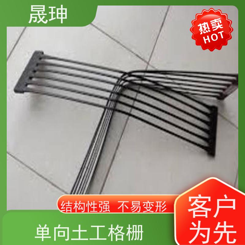 晟珅 实力厂家 单向塑料拉伸土工格栅 应用广泛 货源充足
