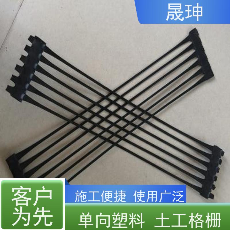 晟珅 长期供应 单向土工格栅 应用广泛 库存充足